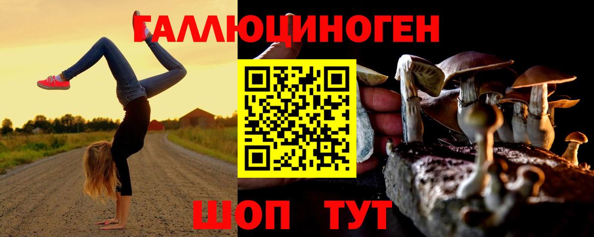 Галлюциногенные грибы Magic Shrooms Дагестанские Огни