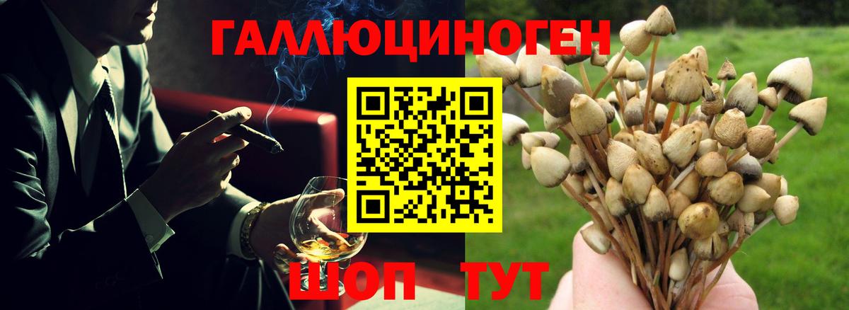 Дагестанские Огни  Псилоцибиновые грибы ЛСД  наркотики  Вход с VPN 